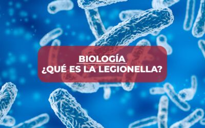 BIOLOGÍA: ¿Qué es la Legionella?